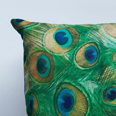 Velvet Peacock Feather Cushion