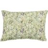 Willow Sketch Boudoir Cushion in Sage Green
