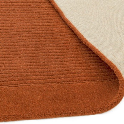 Etched Border Plain Rug in Terracotta Red