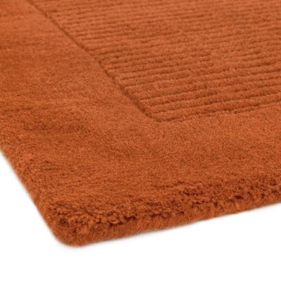 Etched Border Plain Rug in Terracotta Red