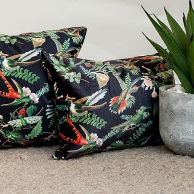 Velvet Cushion Collection